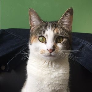 Meet your Posher, Erik